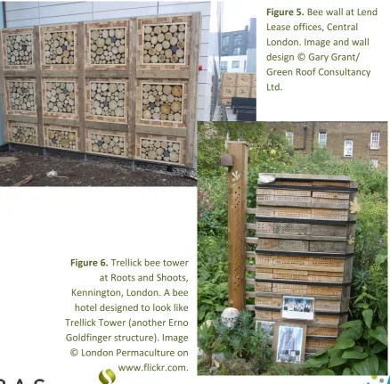 Figure 5. Bee wall at Lend 