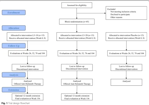 Fig. 1 Trial design flowchart