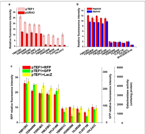 Fig. 5 The robustness of the position effect. a The influence of promoter on position effect