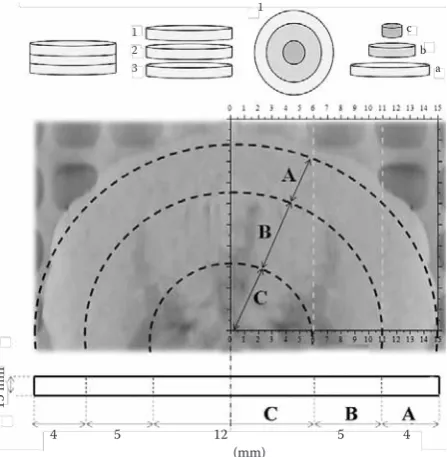 Figure 1. Protocol of sectioning the fruit sample: above, schematic of the cutting process; below, a sketch of the partial samples, with the indication of their size, super-posed to a photo of a real sample