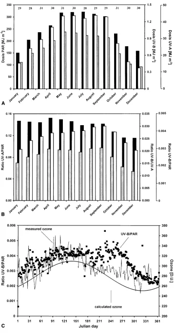 Fig. 2 A Monthly doses forcolumnsumns30 days monthsured daily data indicated bythecolumns(black bars), UV-B:PAR (bars(UV-B:PAR (compared with the predictedtotal ozone column calculatedwith a computer program basedon Björn and Murphy (1985)and satellite bas