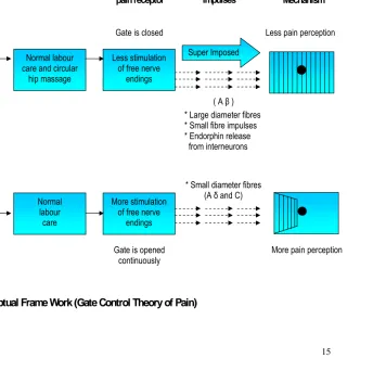 Fig. 1: Conceptual Frame Work (Gate Control Theory of Pain) 
