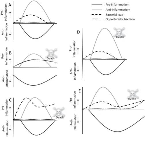 Figure 1.  Global  representation  of  possible  immunological  responses  in  patients;  Depending  on  a  number  of  factors,  including bacterial load, pathogen virulence, host comorbidities, and host genetic factors, the magnitude of this response  ma