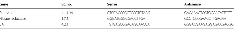 Table 1 Sequences of specific primers used for real-time PCR
