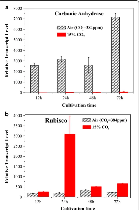 Fig. 2 Genes transcript abundance of reconstructed carbon fixation pathway in dotted boxare shown in Chlorella PY-ZU1 cells cultivated with 15%  CO2 gas versus air