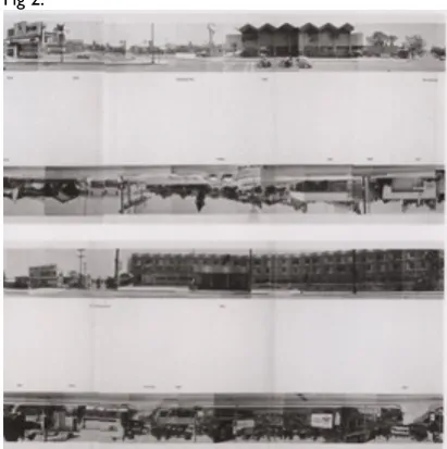 Fig 2.   