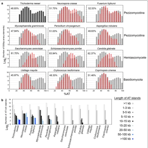 Fig. 5 Comparative analysis of chromosome architecture for 12 different fungal genomes