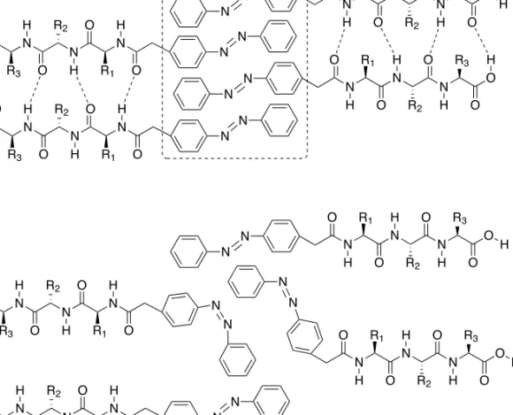 Figure 1.11.  Balanced (A) and disturbed (B) interactions between the azo-dipeptides. Conformation A  leads to the formation of hydrogels