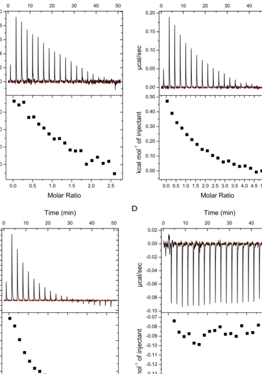 Figure 2.7.  ITC spectra for the interaction between peptide GE 7 G (2; 100 µM) and varying amounts of  CaCl 2  (A-C) A) 1.25 mM CaCl 2  B) 2.5 mM CaCl 2  C) 5.0 mM CaCl 2  D) Background spectrum of CaCl 2 (5 mM) in HEPES buffer