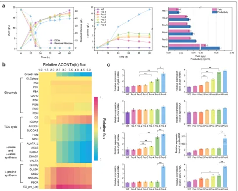 Fig. 6 Analysis of l-proline-overproducing strains. a Flask cultivation of different C