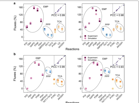 Fig. 2 Comparison of the metabolic flux profiles of the central metabolism between the exponential growth phase and in silico simulation results using 13C-tracer experimental WT (a) and WTΔpgi (b) data for the iCW773 (left) and  ModelCg 2 (right)