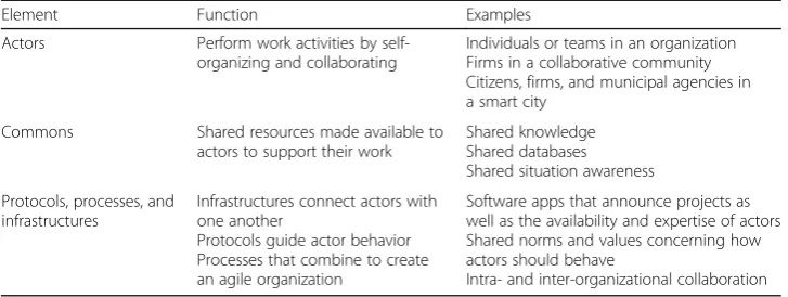 Table 2 Elements of an actor-oriented organization