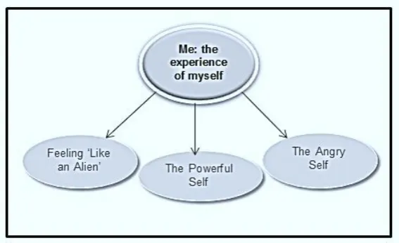 Figure 3: Me: The Experience of Myself  