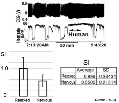 Figure 2. Human approaching gives lobster stress. Stress  response of lobster can be seen by altered pattern of beating