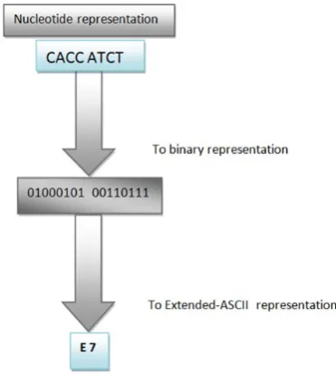 Fig. 1.   Conversion to Extended ASCII code 