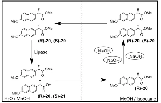 Figure 1.4  Dynamic kinetic resolution of Naproxen (21) in a membrane reactor. [40]