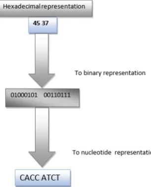 Fig. 1.   Conversion to Hexadecimal representation  