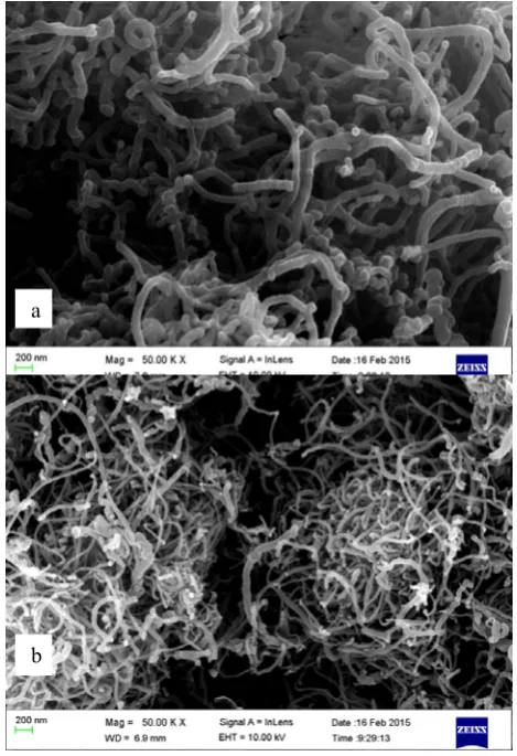 Fig. 1. SEM images of (a) as-synthesized and (b) 