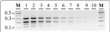 Fig. 2 Confirmation of the simplex PCR primer set for the four living modified (LM) cotton varieties