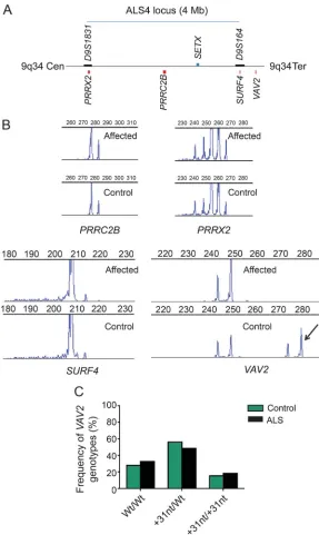 Figure 2Analysis of G4C2 repeats near the ALS4 locus
