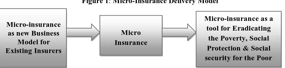 Figure 1: Micro-Insurance Delivery Model 