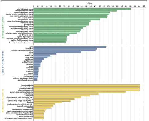 Fig. 4 Gene ontology (GO) functional classification using Blast2GO. Histograms of the frequency of transcripts annotated to specific GO categories; biological process, cellular components, and molecular functions are represented by green, blue, and yellow bars, respectively