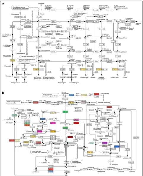 Fig. 6 Kyoto Encyclopedia of Genes and Genomes (KEGG) analysis showing genes involved in phenylpropanoid biosynthesis (a) and starch and sucrose biosynthesis (b) representing each colored EC in A