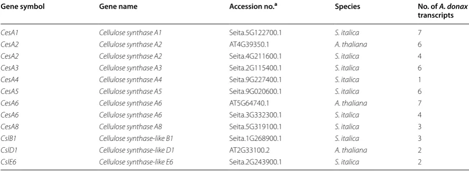 Table 5 Comparison between A. donax transcriptome and S. italica and A. thaliana transcripts for cellulose biosynthesis