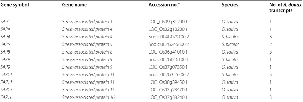 Table 6 Comparison between A. donax transcriptome and S. italica transcripts for lignin biosynthesis