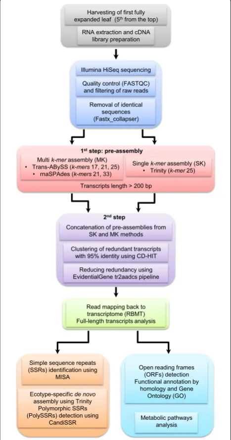 Fig. 1 Flowchart of the pipeline for the filtering, and identical sequences were removed (first, multi-line performs multiple operations from sampling and preparation to sequencing and de novo assembly to functional annotation and analy-sis