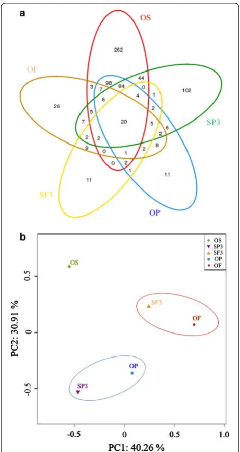 Fig. 4 OTUs and the bacteria phylum distribution at the end of fermentation. a Venn diagram analysis of the OS, OP, OF, SP3, and SF3 experiment groups; b PCA of the OS, OP, OF, SP3, and SF3 experiment groups