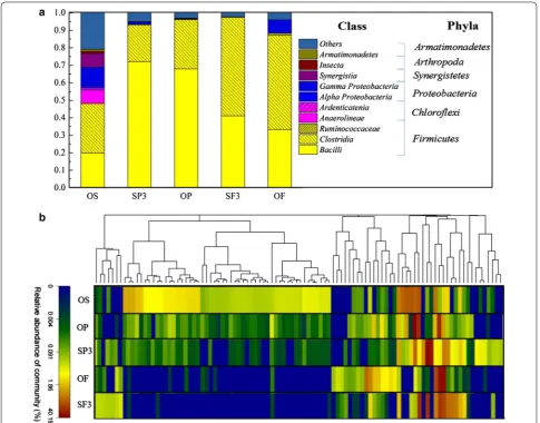 Fig. 5 Taxonomic classification of sequences. level. a Bacterial communities of the OS, OP, OF, SP3, and SF3 experiment groups at class level and phylum b Hierarchical clustering analysis at genus level of bacterial communities of the OS, OP, OF, SP3, and SF3 fermentation groups