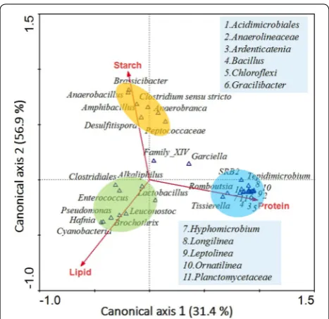 Fig. 6 CCA analysis of the microbial communities and the organic composition between the OS, OP, OF, SP3, and SF3 fermentation groups