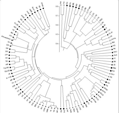 Fig. 1 A UPGMA tree based on genetic distances among 101 accessions of citrus genetic resources using 17 polymorphic SSR markers