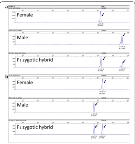 Table 4 Frequency test of genetic hybrids from various genetic crosses using polymorphic SSR markers
