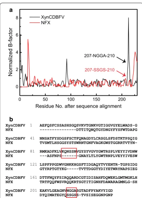 Fig. 2 Conformation of residues from 207 to 210 in two xylanases. a Conformation of 207-NGGA-210 in the XynCDBFV crystal structure