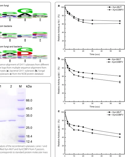 Fig. 4 SDS-PAGE analysis of the recombinant xylanases. Lanes 1 and 2 correspond to purified Xyn-MUT and XynCDBFV from P
