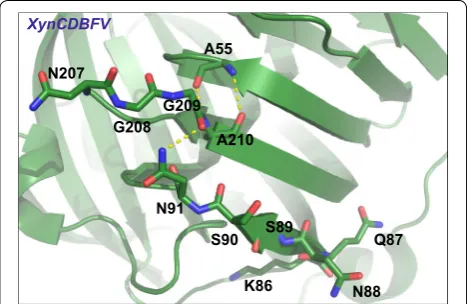 Fig. 10 Conformations of 207-NGGA-210 and 86-KQNSSN-91 in XynCDBFV crystal structure