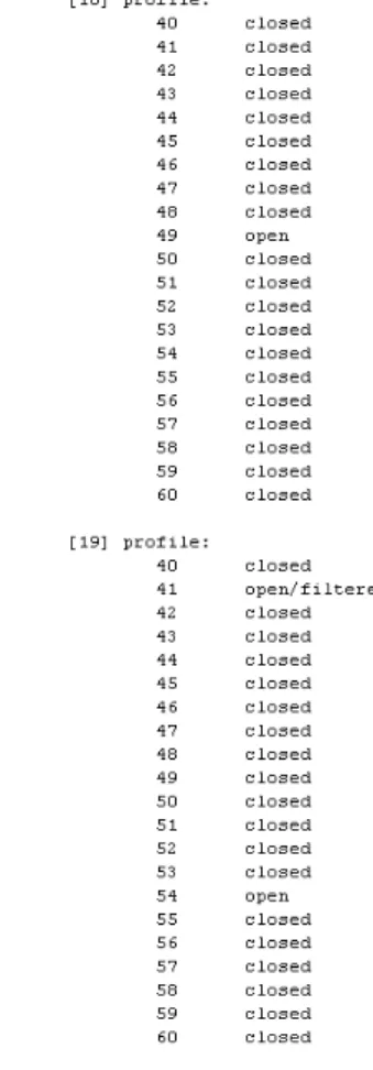 Figure 9. MFIRE: Example block scan conducted by the ScanProcess class