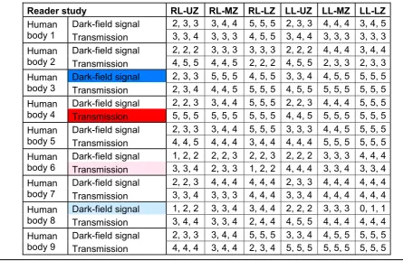 Fig. 1 Visual evaluation scheme and grading scale for dark-field chest radiographs and conventional x-rays