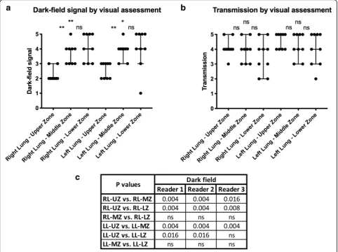 Fig. 2 Dark-field and transmission signal grading of all nine human bodies for different regions of the lungs