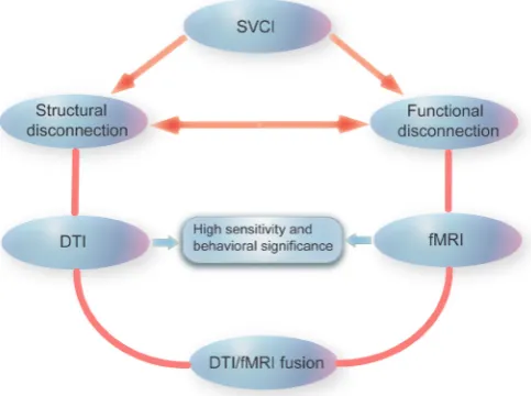 Figure 2 Application of diffusion tensor imaging (DTI) and functional MRI (fMRI) in subcortical vascular cognitive impairment (SVCI)