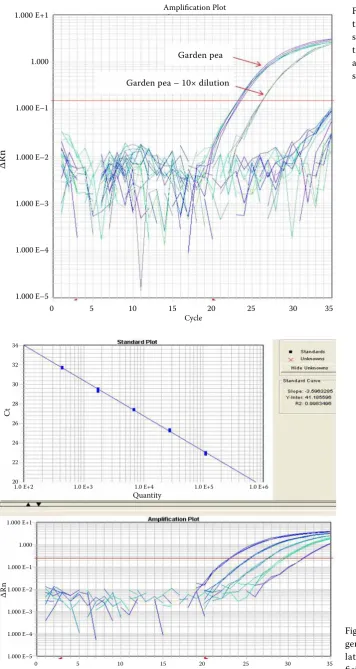 Figure 8. Control of the reac-tion inhibition signal of pea samples at DNA concentra-tion of 40 ng/µl (23.28 Ct) and the same 10-fold diluted samples (26.51 Ct)