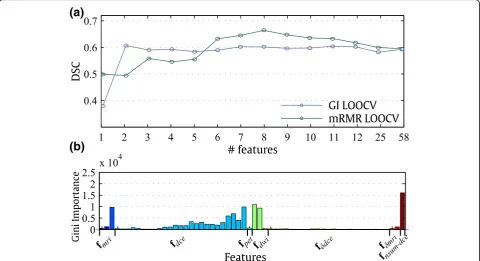 Table 4 Top-ranked segmentation features according to Giniimportance and minimum-redundancy-maximum-relevance
