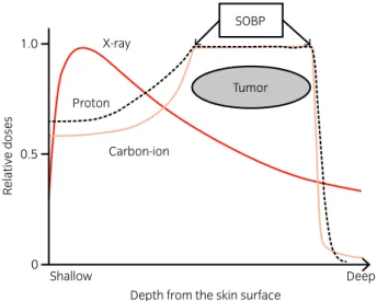 Fig. 1 A schema of relative doses from the skin surface of photon and par- par-ticle beams