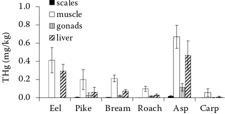 Figure 3. Total mercury (THg) concentrations in tissues of fish from the Berounka River before the junction with the Vltava