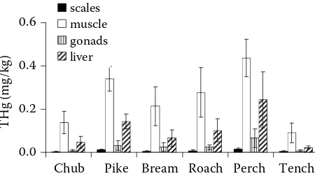 Figure 4. Total mercury (THg) concentrations in tissues of fish from the Jordán Reservoir