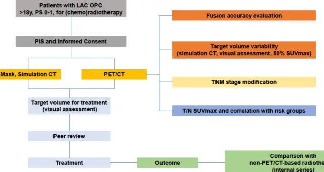 Figure 2.4.1. Project schematic. LA OPC= Locally Advanced Oropharyngeal Cancer, PS= 