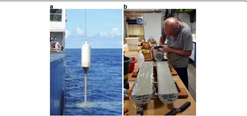Fig. 2 Schematic example of the effect of core misalignment on core sampling planning (coronal plane, not to scale)