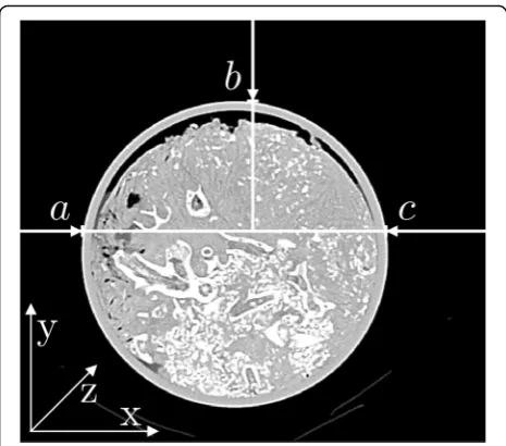 Fig. 3 Image example of an axial CT acquisition of a sediment core,showing the coordinate system referred to as the CT scanner coordinatesystem in the manuscript and illustrating the line search to determinesize and position of the scanned object on axial 